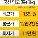 서울 4대 특급 호텔 빙수 가격 이미지