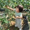 손탁커피 이미지