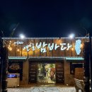 셀세모장성점 | [포항연일밤바다 장성점]나만 알고 싶은 포항 해산물 맛집 친구랑 재방문 털기(feat.돈까스)