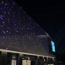 거북이게임장 | [솔직한 후기] 강원도 가평 체험 맛집 실내 동물원 '신비 동물원' 솔직 방문 후기