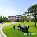 천안연암대학 이미지