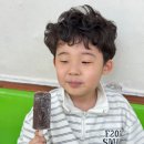 경희대명문태권도 이미지