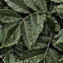 제인헬스케어 이미지