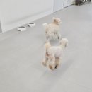 프릿토핏 이미지