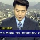 조*응