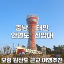 개관기념 6월~8월 무료입장, 카페, 보령해저터널 여행 후기(대천 보령 머드축제, 원산도, 근교 여행지...