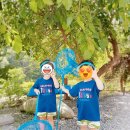 물마루 캠핑장 | 아이와함께 캠핑! 물마루캠핑장 진짜깨끗해요! 완전강추합니다! 여기가무릉도원♡