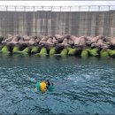 청정해역 이미지