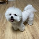 레인보우동물병원 이미지