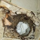 금마대성맨션2차 | 마산 합포구 문화동 누수탐지 창포경남맨션 방수문제 현장