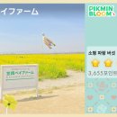 하필경로당 이미지