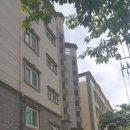 골든빌 옆 이미지