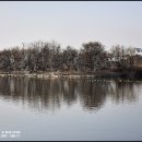 서호공원 이미지