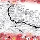 매화산 등산로(정상)