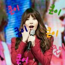 컴컴피씨 이미지