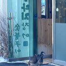 아틴해우 이미지