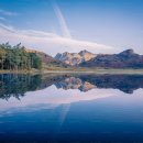 위드폴행정사사무소 | 치매 단계 예측에 도움되는 뇌 변화