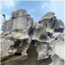 24년 6월 18일 오색약수(주전골),하늬라벤더팜,능파대,아야진 해변 이미지