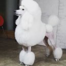 오늘은 꽃단장 이미지