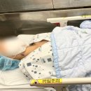 에스프레나 | 임신 준비 영양제 후기 읽고 본 성분
