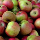 성남마트 이미지