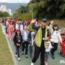 수영강시민공원 코메디닷컴