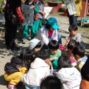 서촌초교병설 이미지