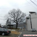 일영3리 이미지