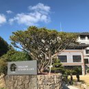 정방연로 | [서귀포] 제주 전통 정낭빵 맛집 한라궁 호텔 카페 &#39;탄스왈로키친&amp;카페&#39; 후기