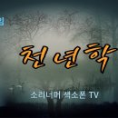 김용임 전유진 김다현 천년학 이미지