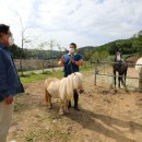 대암목장 이미지