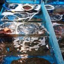 장사항활어직판장 이미지