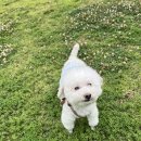 벳케어 동물병원 이미지