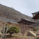 영주 부석사 삼층석탑 티스토리