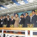 전통무예 중앙 합기도 이미지