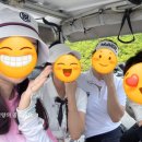 (주)아리지