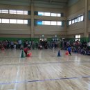 라온초등학교 이미지