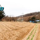 만배공인중개사사무소 이미지