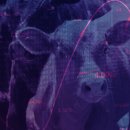 감산축산 이미지