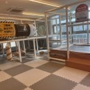 한마음정육식당 서현점 | 관평동삼겹살 아이와 가기 좋은 대전 관평동 고깃집 한마음정육식당 대전관평점 방문 후기