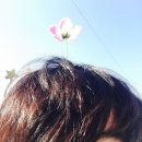 찬영