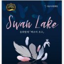 서울시티발레단 백조의 호수 이미지