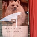 파주 무즐라 카페 이색데이트 장소 후기!