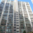 사파동296 이미지