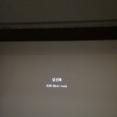 군체 (무대인사) 후기