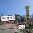 쿠쿠숲