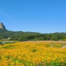 진안읍 1416 이미지