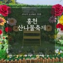 원더러스트키친 | 제8회 홍천 산나물축제 후기 아이와 함께라 더 즐거운 이유