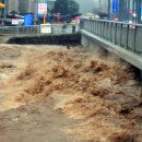 곡성-209 이미지