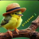 오늘의 날씨 (12월 13일 토요일) 720기 입영 6일차 이미지